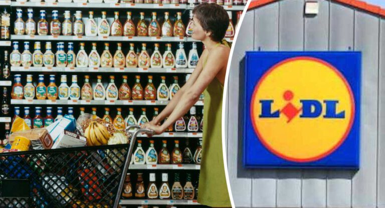 Une mère de famille vivant des prestations sociales dépense 2 000 euros chez Lidl, la mauvaise surprise tombe